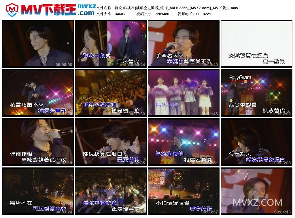 陈晓东-实在(演唱会)_国语_流行_MA108366